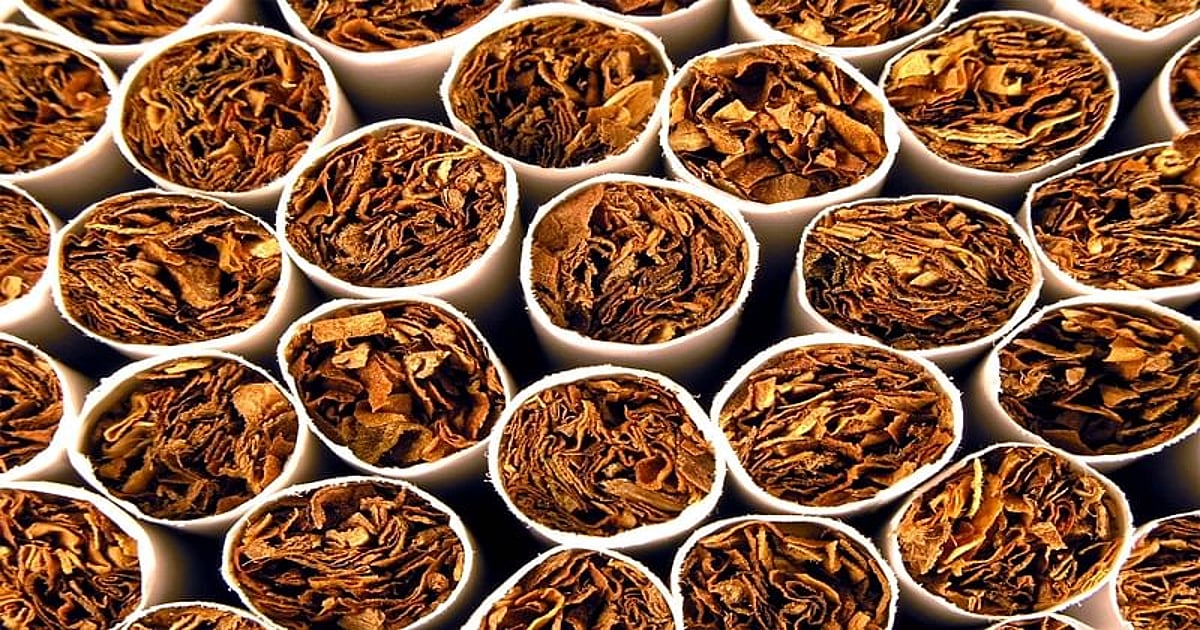 Tobacco Free Chhattisgarh: 'Vendor Licensing' Necessary for Sale of Tobacco Products - Vimarsana News