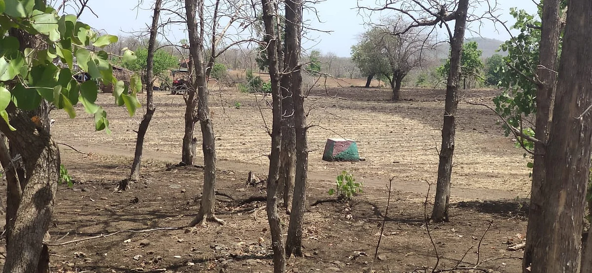 FPJ Impact in Indore: Ranger suspended for allowing farmers to encroach forest land amid lockdown