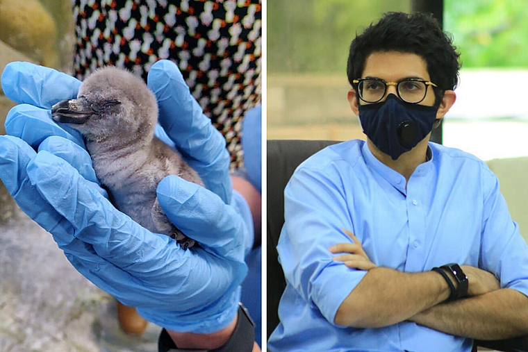 'But Modi is fascist': Twitter reacts to man being booked for calling Aaditya Thackeray 'baby...