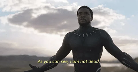 I Am Not Dead Iconic Black Panther Scene Where Chadwick Boseman S T Challa Returns