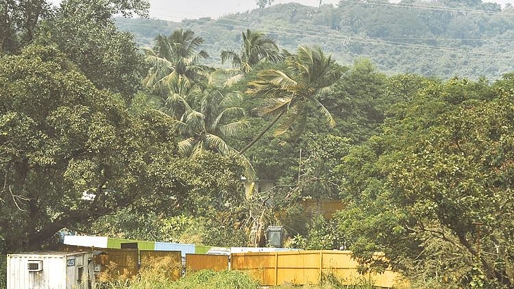 Urban jungle 'Mumbai' makes to UN's 'Tree Cities of the World' list - Vimarsana News