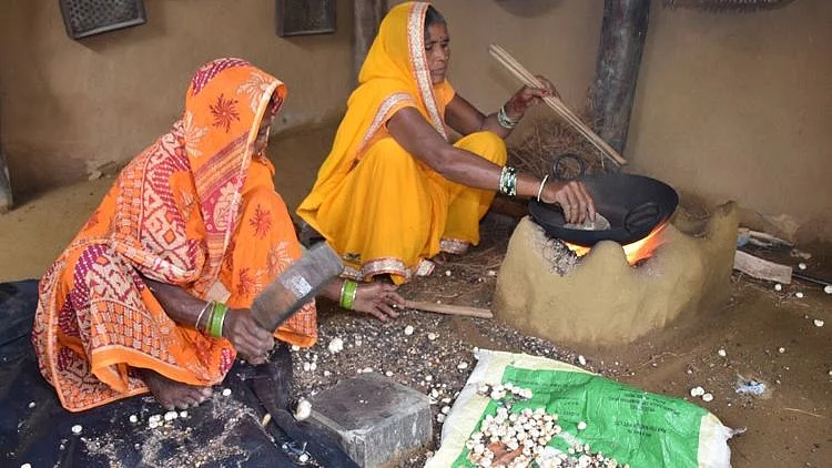 Art of making Makhana: Watch this exhibit by IGRMS showing traditional technique of making fox nut