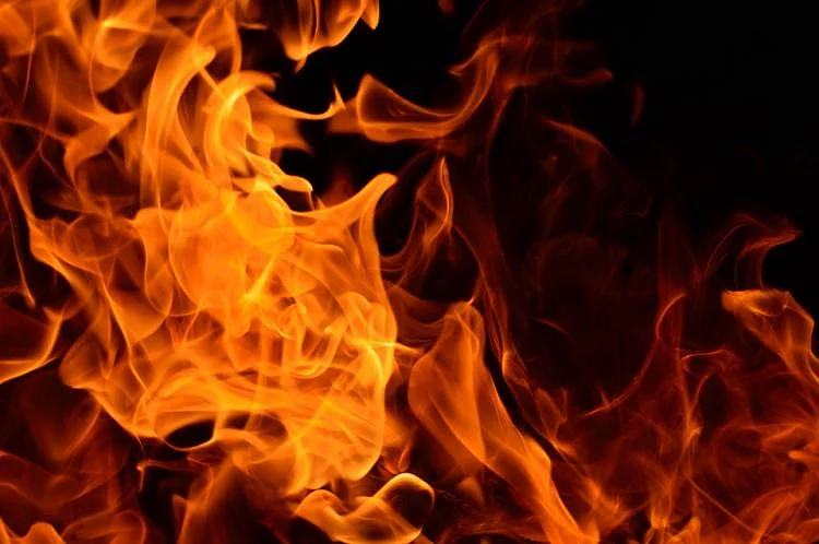 Madhya Pradesh: Class-11 girl student, who sets herself ablaze because of sexual harassment, died