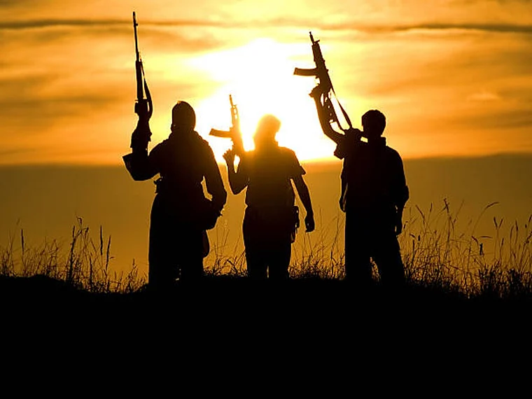 Jammu & Kashmir: Hours after arrest, police identify Lashkar-i-Taiba militant; incriminating...