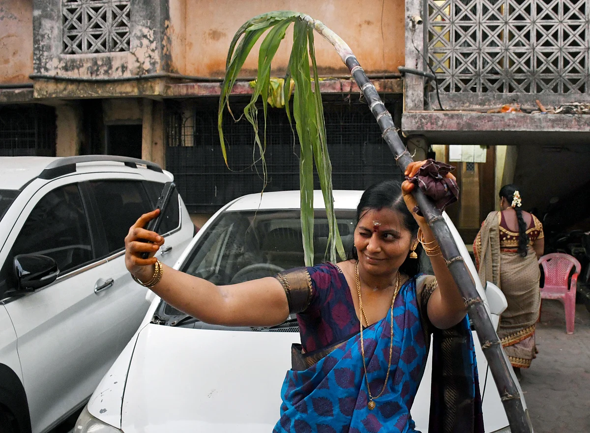 A woman clicks a selfie with the sugarcane during the Pongal celebrations at Dharavi in Mumbai on Thursday.