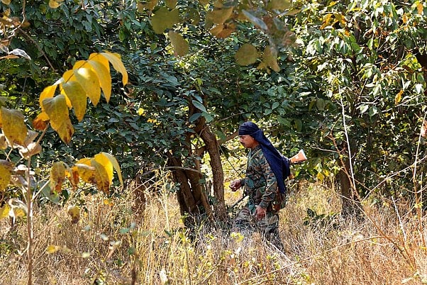 Chhattisgarh: Naxal carrying Rs 1 lakh bounty arrested, three ultras surrender in Sukma - Vimarsana News