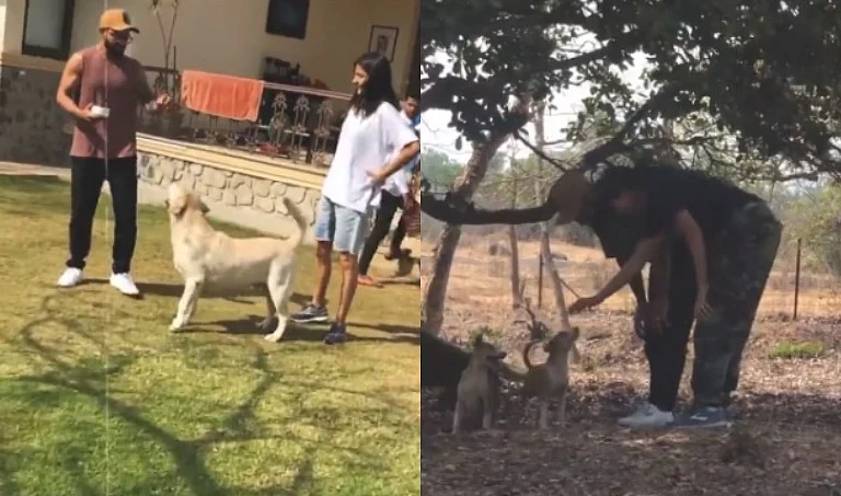 Watch: Anushka Sharma shares glimpse of 'special, priceless moments' with Virat Kohli and furry...