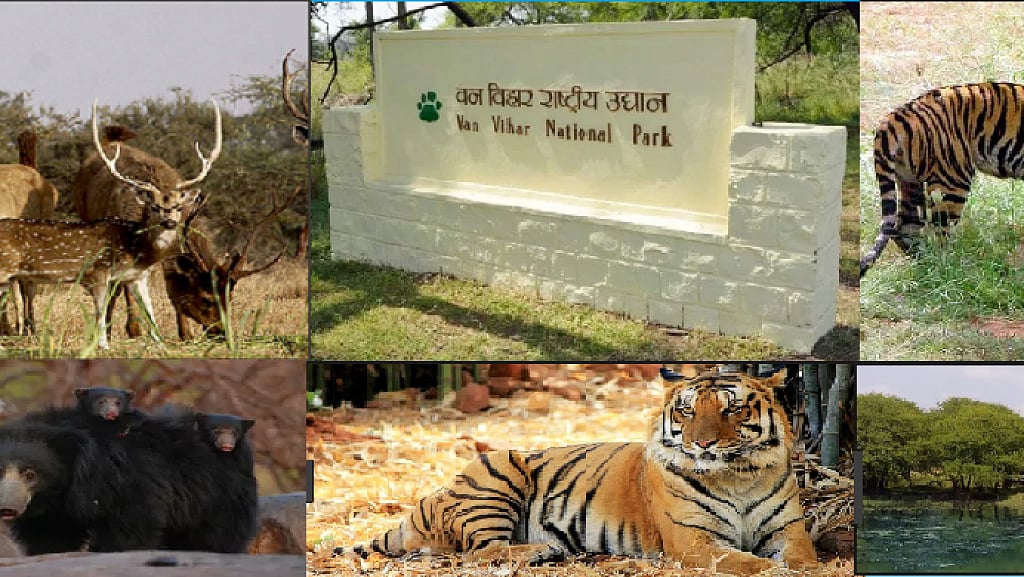 Bhopal: 47th foundation day of Ratapani sanctuary celebrated at Van Vihar Park - Vimarsana News