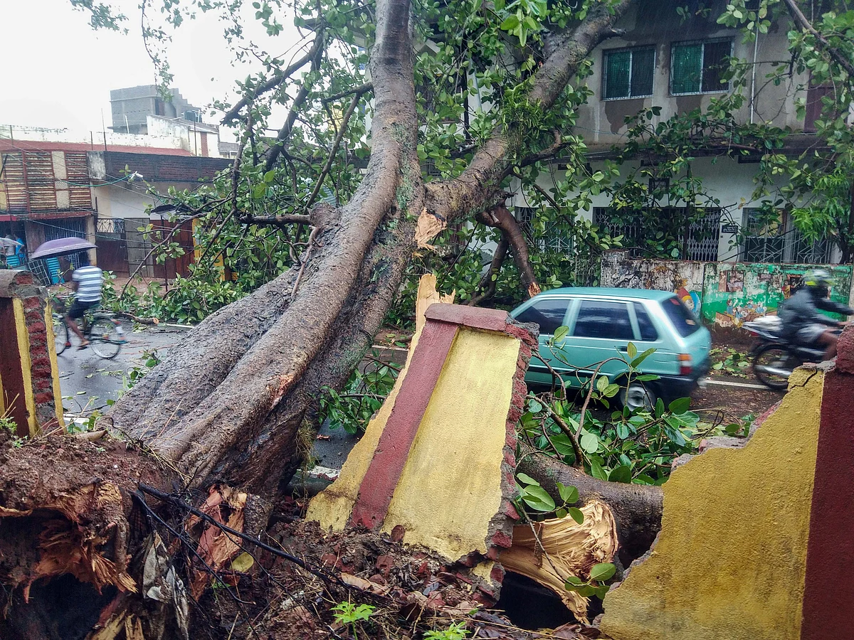 A tree uprooted and fell on a residential house that collapsed the wall during the landfall of cyclone Yaas, in Khunti district, May 27, 2021.