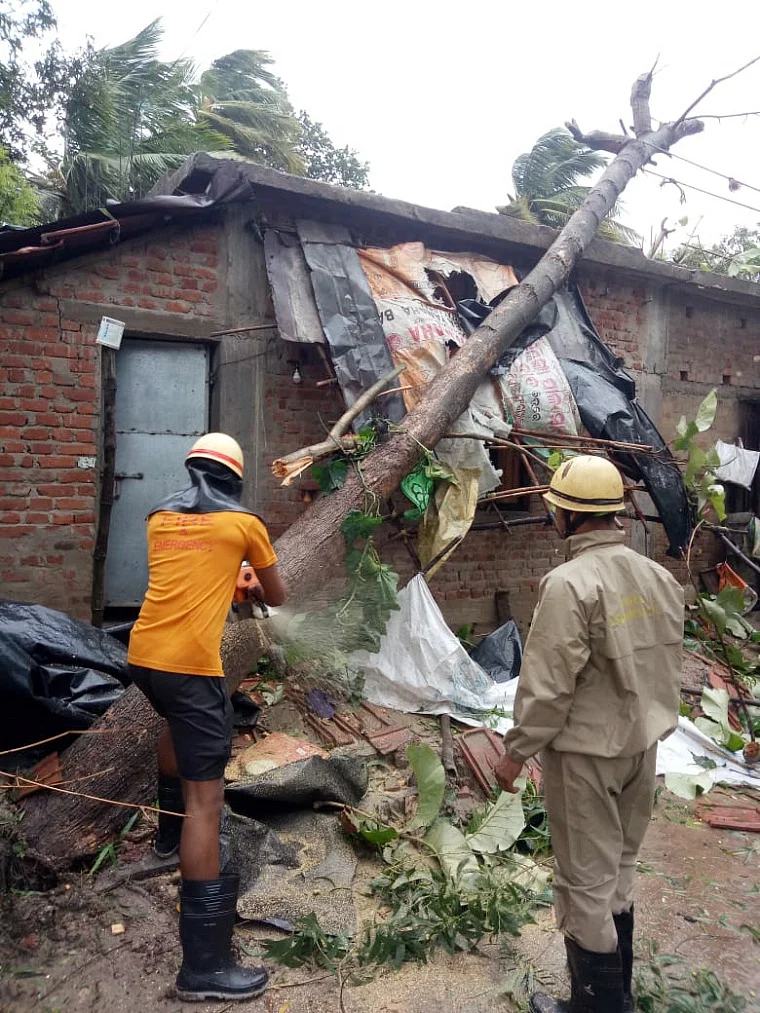 Firefighters personnel clear a fallen tree on a house