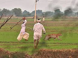 Madhya Pradesh: Six children killed but forest department remains apathetic to villagers woes