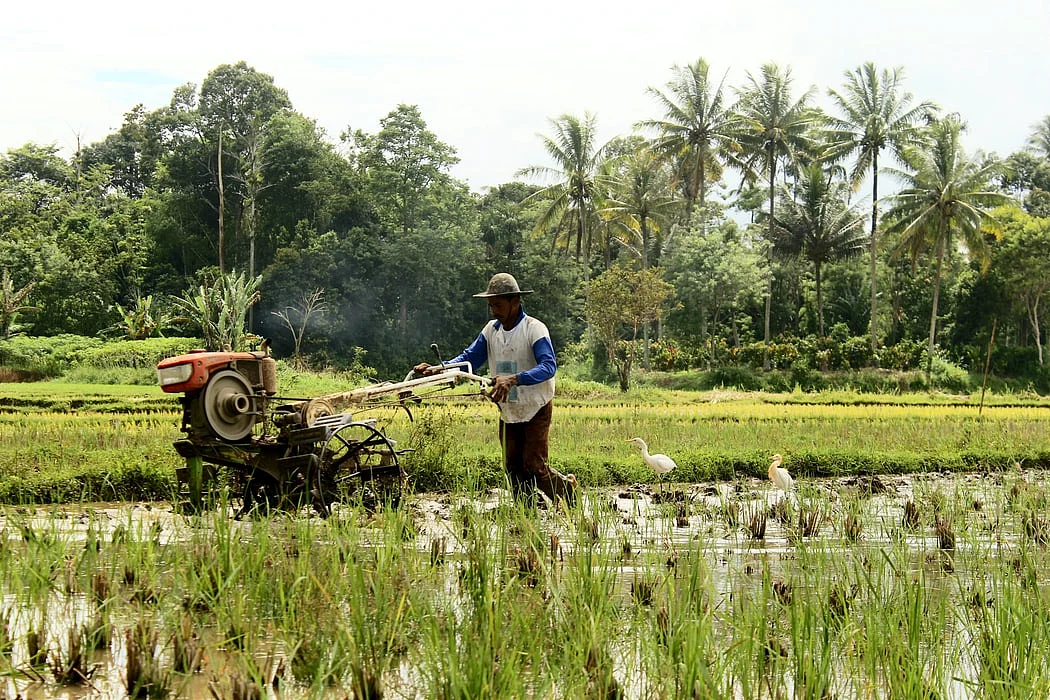 farm-image