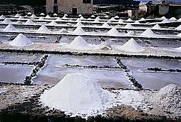 Gujarat: Hundreds of saltpan workers form Namak Satyagrah Samiti to protest against two chemical...