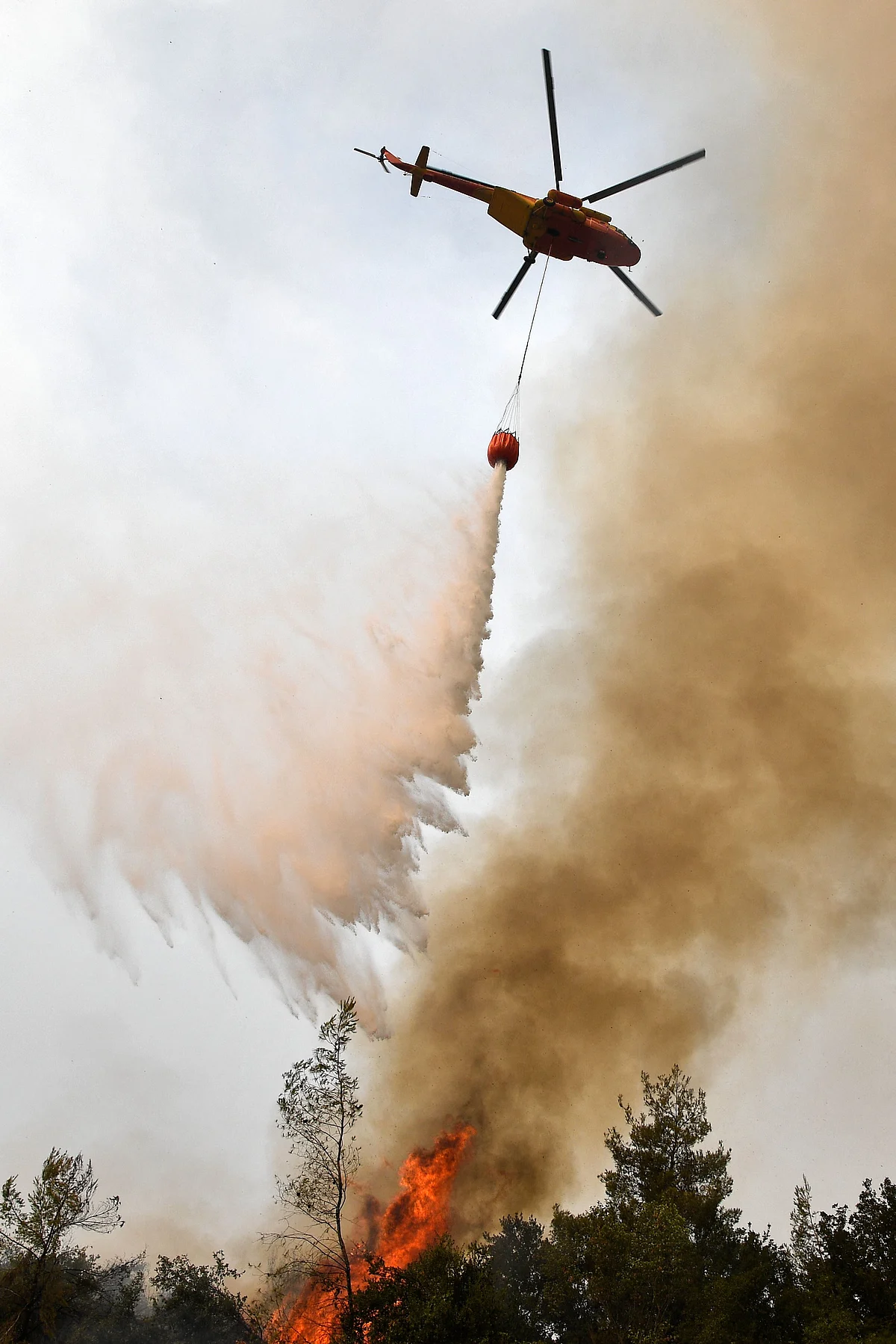 A helicopter pours water on a wildfire on August 5, 2021, near the village of Kechries in North Evia. - The blazes in Greece this week briefly cut off the main road leading to Athens and saw worrying fires break out in Olympia -- the birthplace of the Olympic Games that is usually crowded with tourists -- and on the island of Evia.
