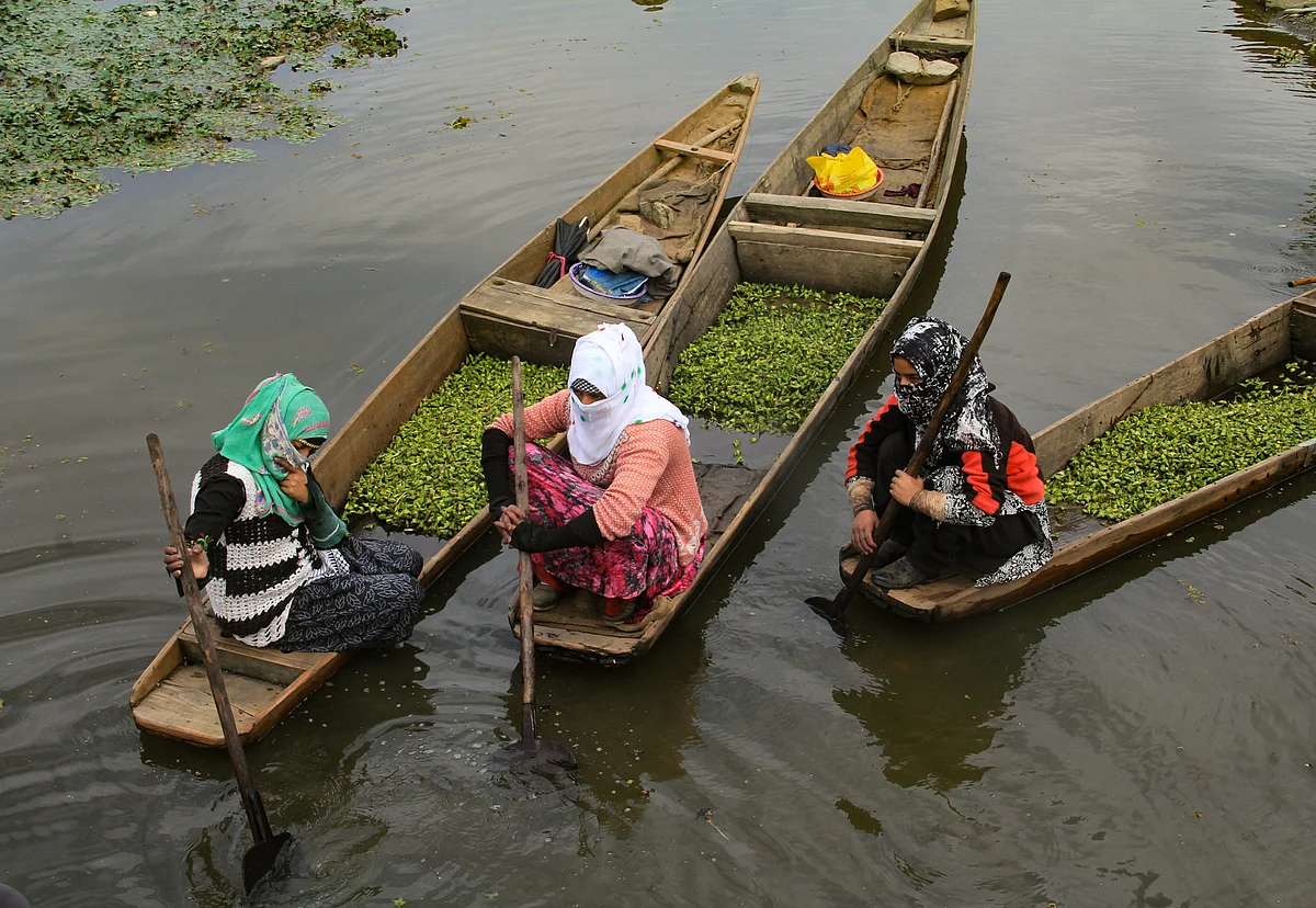 Kashmiri women wait for local traders to sell water chestnuts that they extracted from Wular Lake in the Bandipora district of North Kashmir.