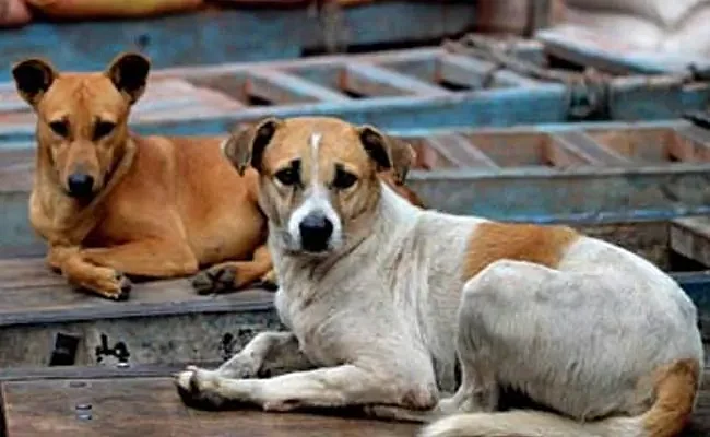 Thane: Couple files cross-complaint after woman registers sexual assault complaint as feud over...