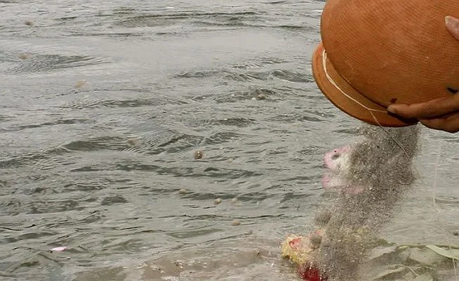 Madhya Pradesh: Unclaimed ashes of 57 coronavirus victims immersed in river by crematorium after...