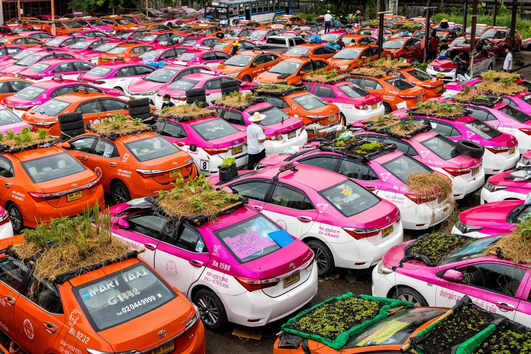 In Photos Bangkok S Taxi Rental Garage Turns Cabs Into Vegetable Gardens Post Financial Losses Due To Covid 19