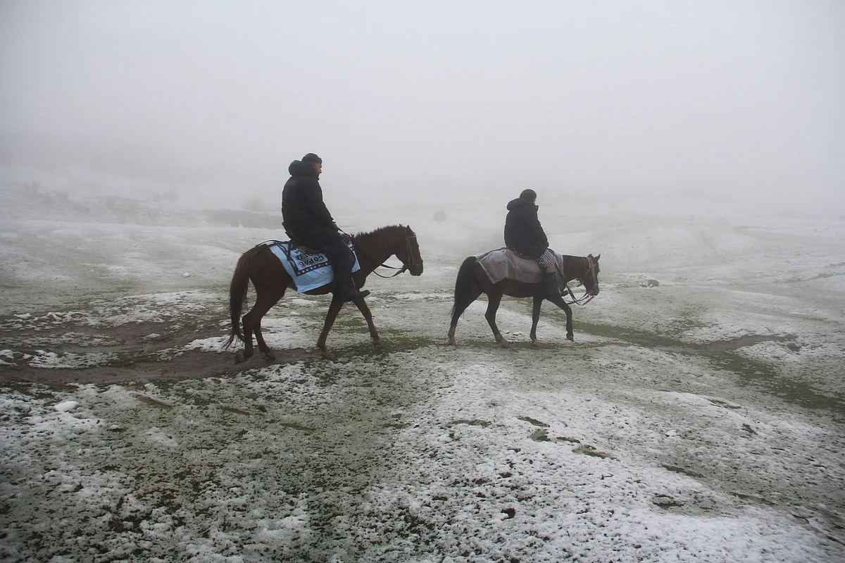 Higher reaches of Jammu and Kashmir witness the season's first snowfall.