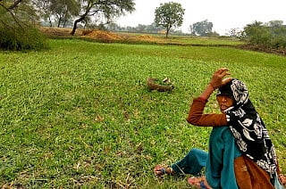 MP: Farmers waiting in vain for eight days to get sufficient fertilisers - Vimarsana News