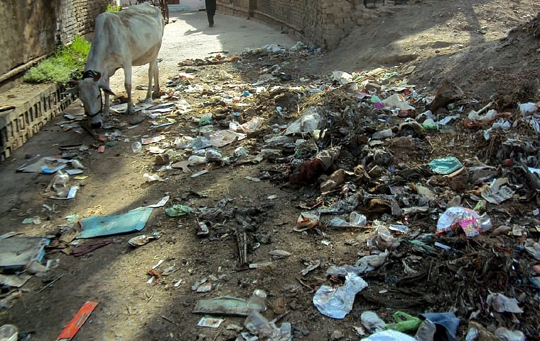 Mumbai: Know how BMC's zero-garbage action plan 'goes to waste' - Vimarsana News