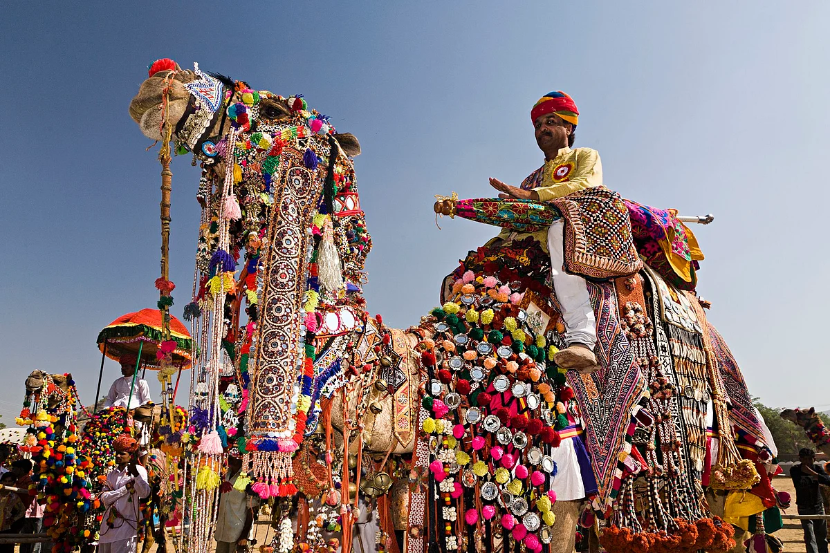 Rajasthan: Pushkar cattle fair begins with COVID-19 restrictions after 2-year gap; see pics
