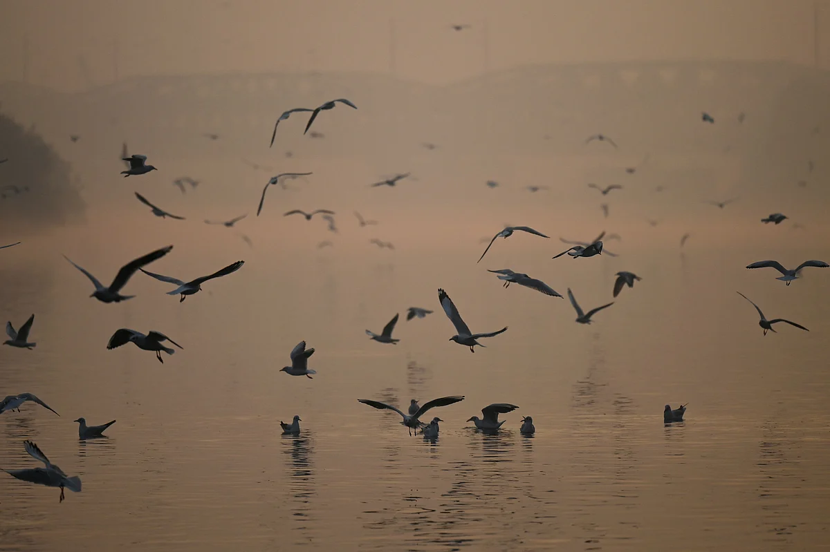 Delhi pollution: All schools to remain shut till further orders, online education to continue