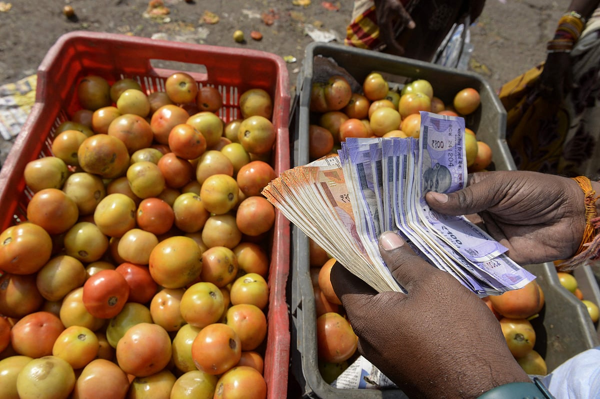 Mumbai: Tomato price shoots up following dip in supply due to rain - Vimarsana News