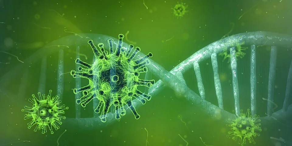 COVID-19 | Thane: Man who returned from South Africa kept in isolation amid 'Omicron' variant...