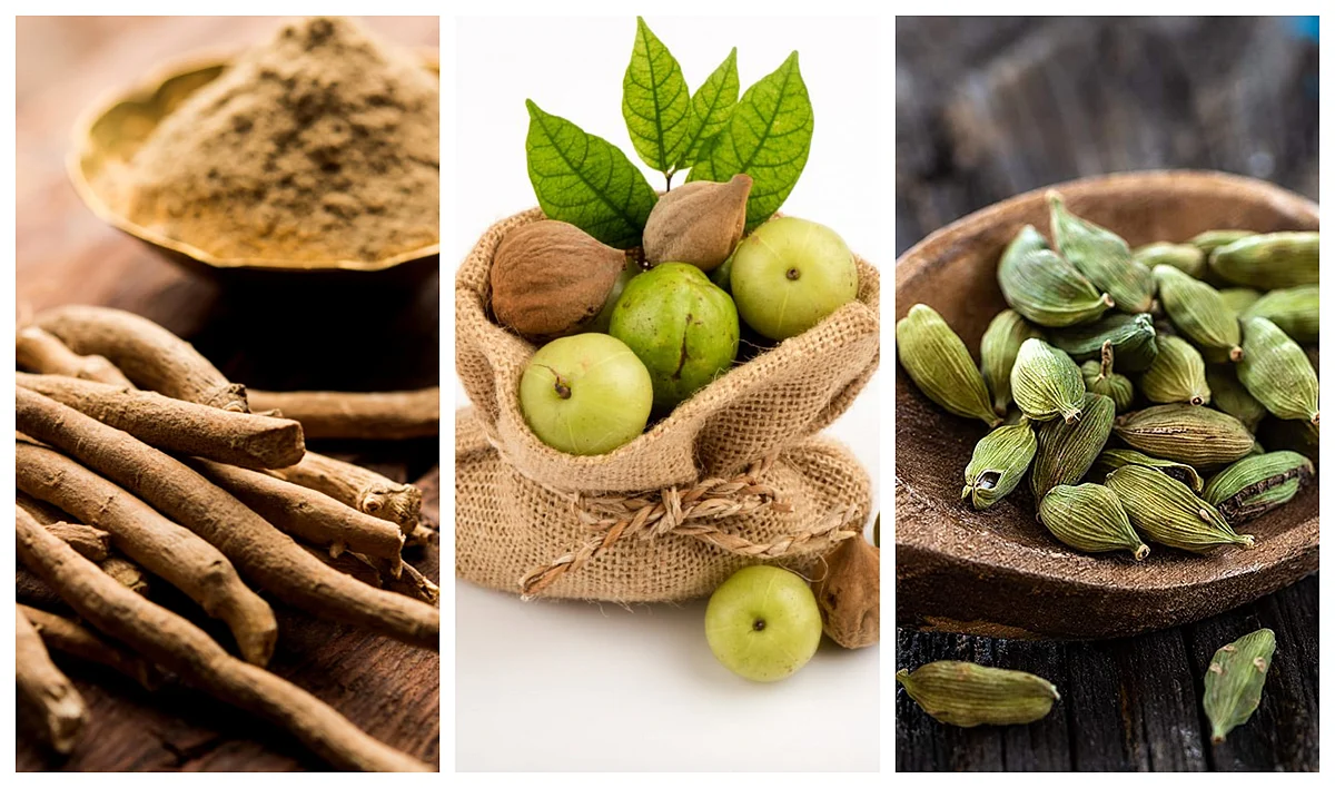 Nine ayurvedic herbs and spices that can help boost your immunity, and over all well-being
