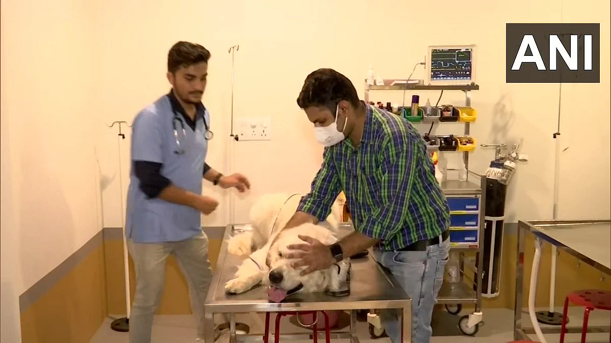 Gujarat: Ahmedabad engineer sets up India’s first ventilator hospital for pets after losing his...
