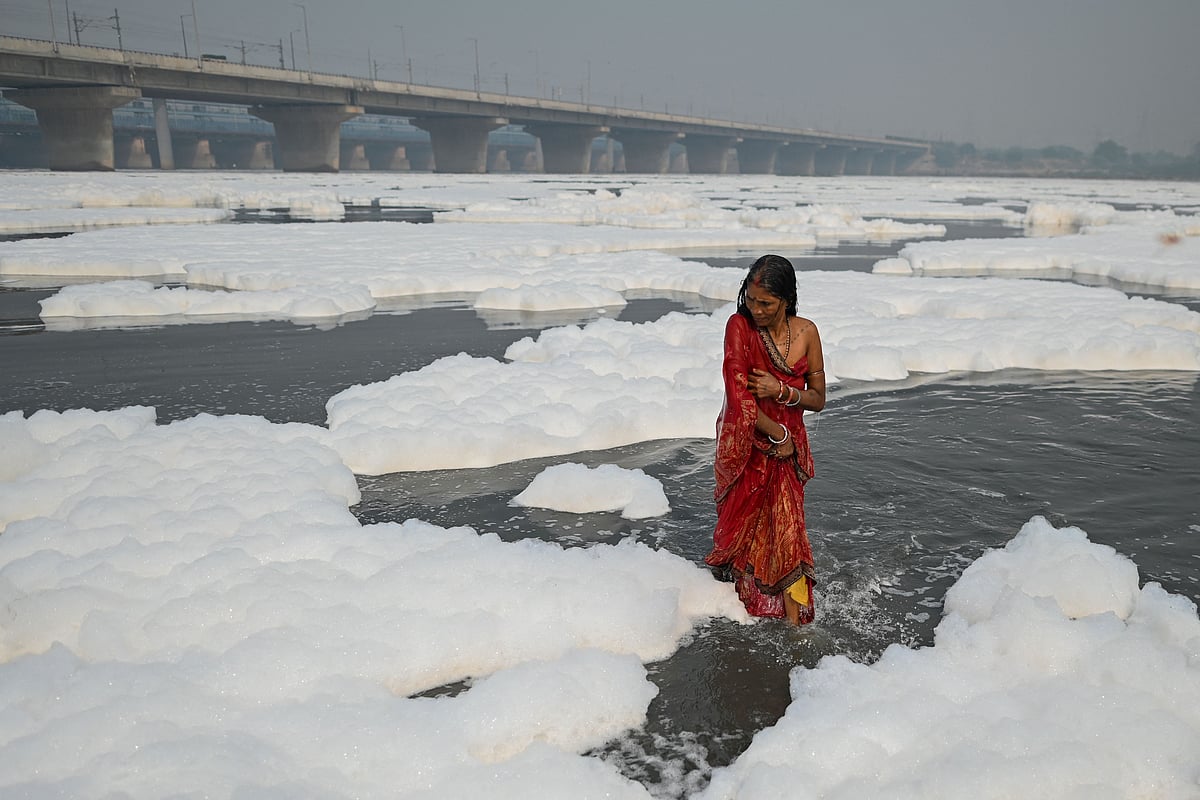 In Pics: A man, a woman, and cattle walk into Yamuna, and create toxic foam by polluting the water