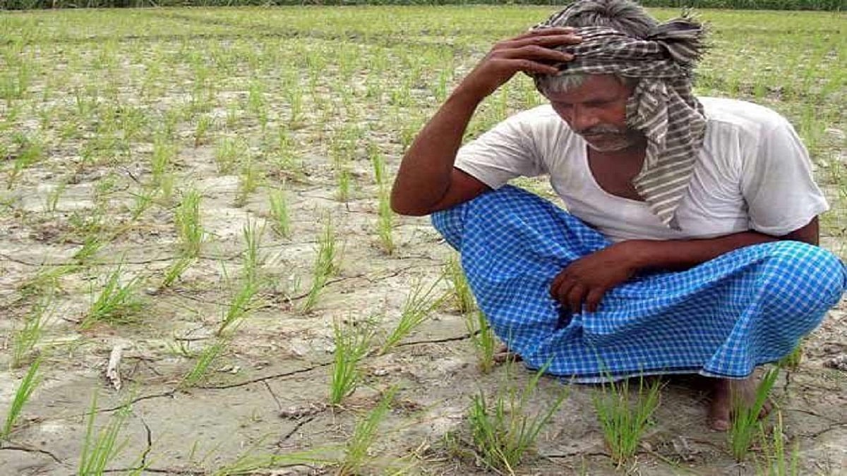 Madhya Pradesh: First heat, then hailstorm, farmers set for another round of compensation battle - Vimarsana News