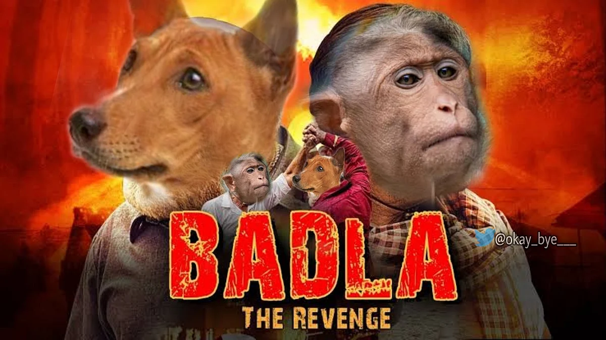It's raining #MonkeyvsDog memes after rampaging monkeys kill 250 pups in India in revenge massacre