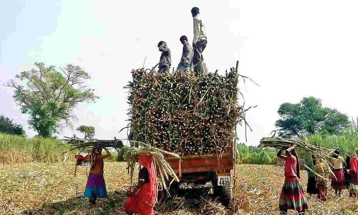 Doubling farm incomes means moving beyond MSP and subsidies & specialising in high-value crops,...