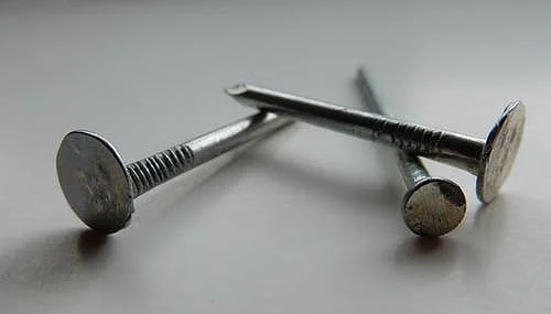 Rajasthan: RTI activist abducted, legs pierced with nails after complaining about liquor mafia in...