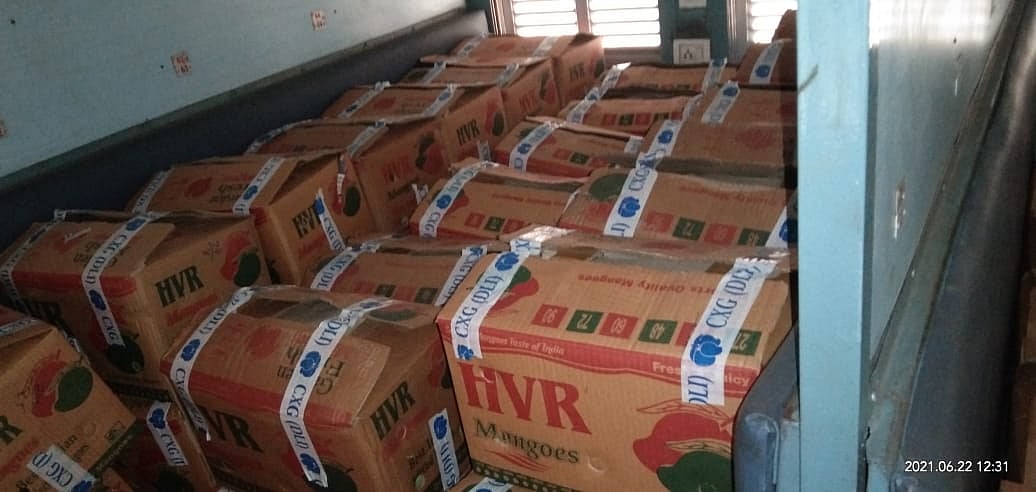 Indore: Parcel packing facility started at GPO - Vimarsana News