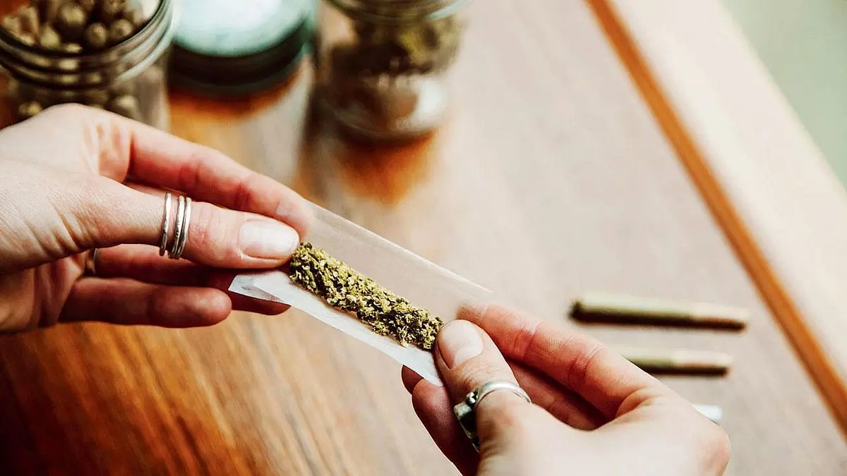 Thane : Two held with ganja worth over Rs 1.8 lakh - Vimarsana News