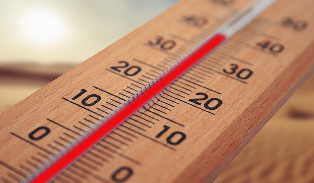 Cannot disregard fallout of climate change any longer, writes Bhavdeep Kang - Vimarsana News