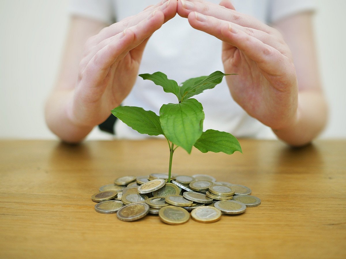 The health issuance guide: Here are some tips to get you started - Vimarsana News