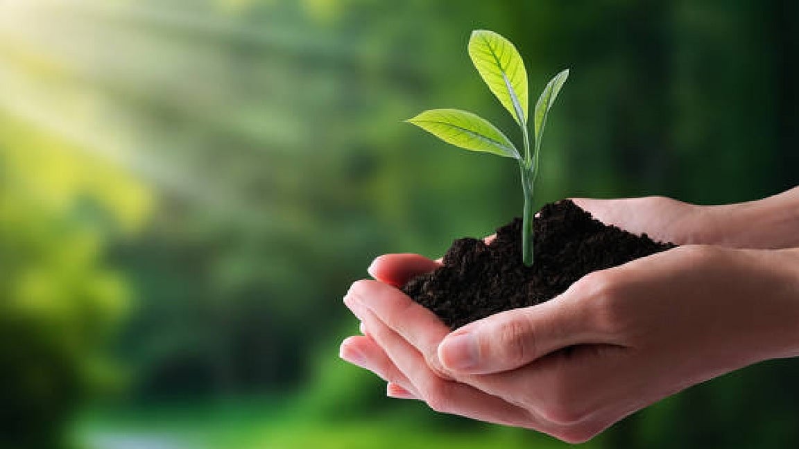 Guiding Light: Lend a helping hand to heal our planet - Vimarsana News