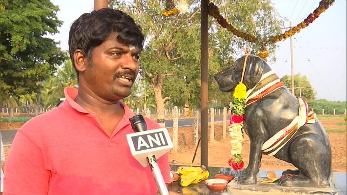 Tamil Nadu man to build temple in memory of pet dog, spends Rs 80,000 over marble statute - Vimarsana News