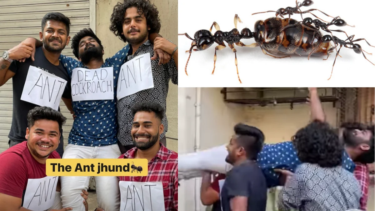 Watch video: Internet sensation Nilraj Kadam recreates 'Ants ka jhund' scene; netizens say 'so true'