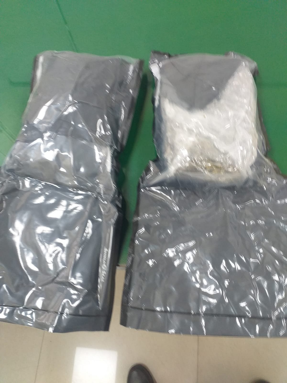 Mumbai: Hydroponic Weed worth Rs 1.5 cr smuggled from USA seized by NCB, one held - Vimarsana News
