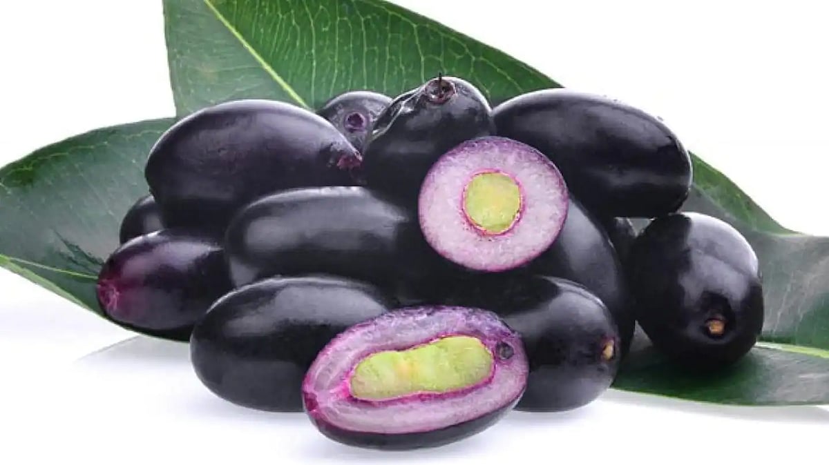 Navi Mumbai: Price of jamuns soar in retail market, reaches Rs 280 per kg - Vimarsana News