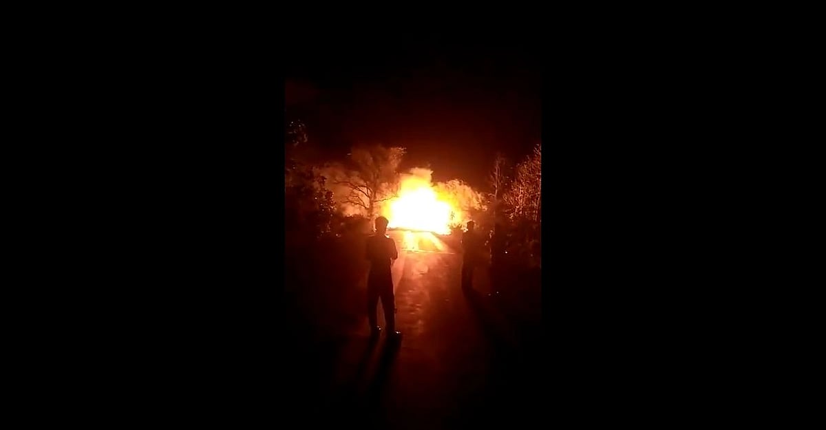 Khachrod: 13 cows charred to death in truck fire - Vimarsana News
