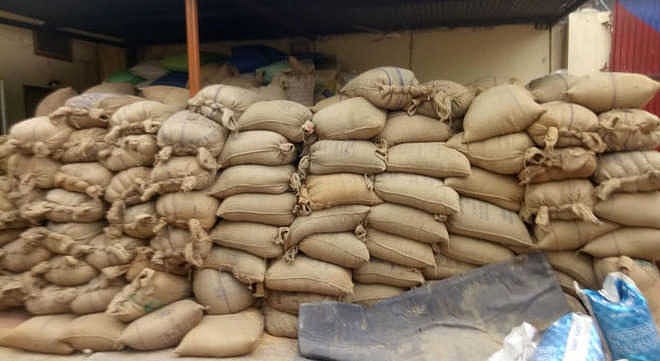 Madhya Pradesh: Six lakh metric tons of wheat exported, 5 lakh MT still at ports - Vimarsana News