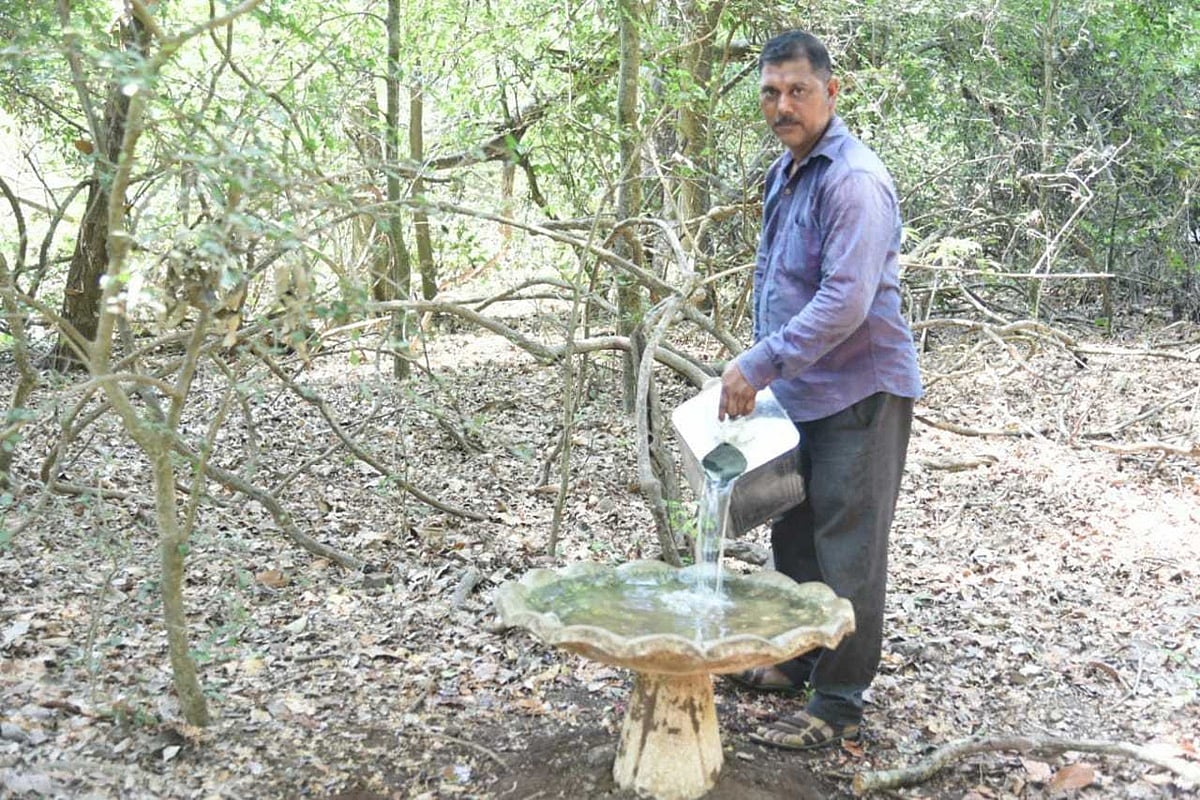 Karnala bird sanctuary in Panvel sets up 27 artificial water bowls for