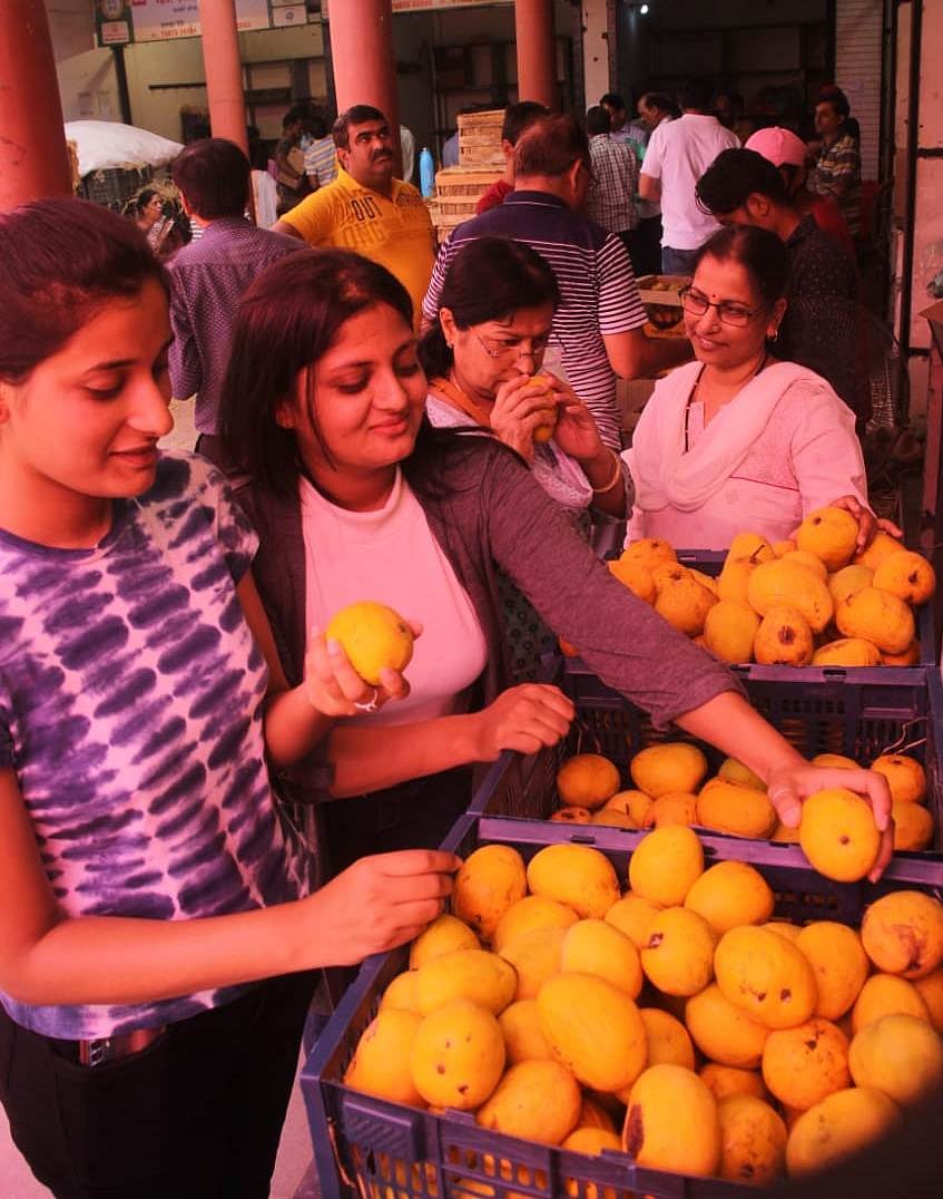 Indore: Mango Jatra a hit, record sale of Rs 5.25cr in 3 days - Vimarsana News