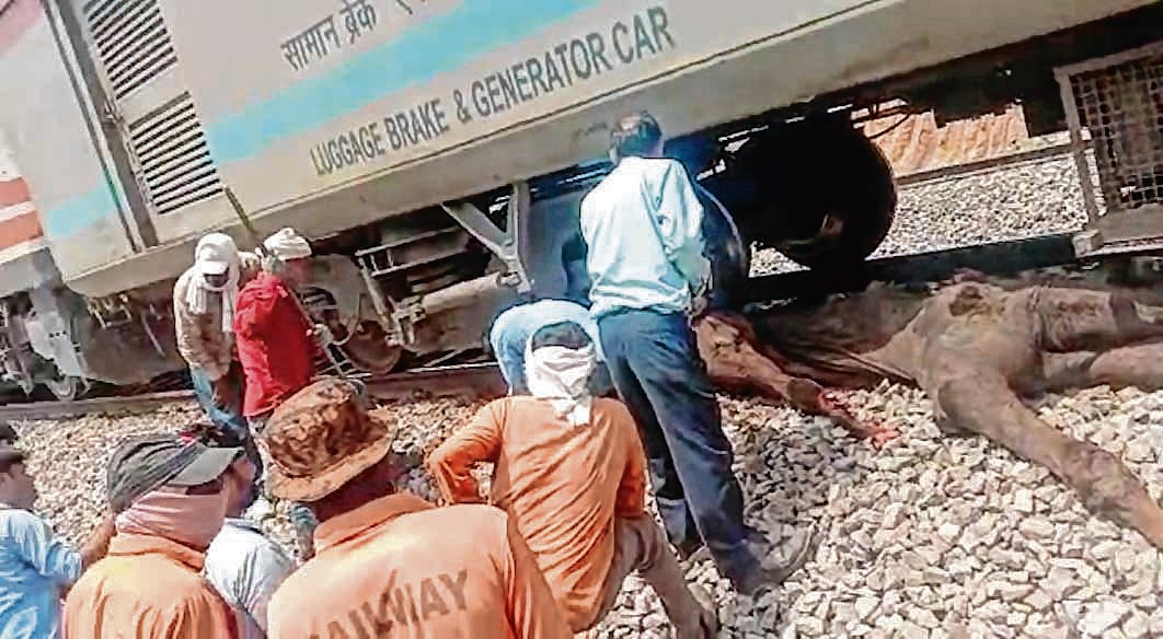 Madhya Pradesh: Shatabdi Exp hits camel, stranded for 2 hours - Vimarsana News